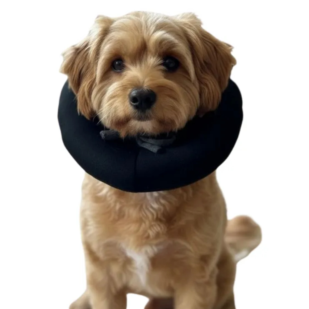 Colar Cirúrgico Elizabetano Tecido Ajustável P/cães Gatos P em Oferta na Shopee