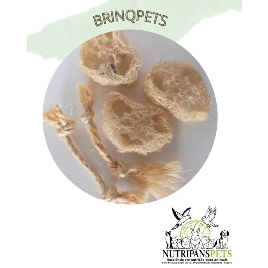 Brinquedos para desgaste dos dentes de roedores 100% naturais kit 5 unidades -NUTRIPANSPETS