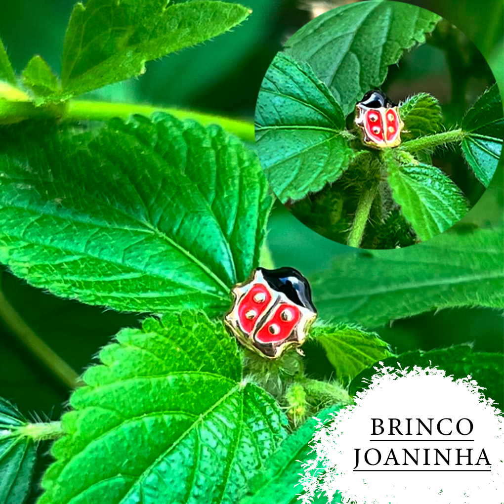 Brinco Infantil  Com Tarraxa Joaninha - Banhado Antialérgico