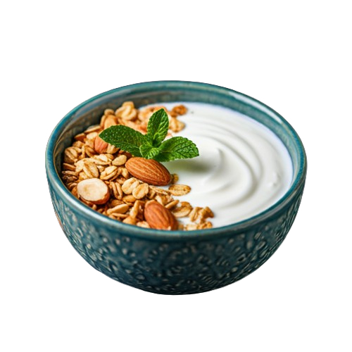 Kosher Iogurte Natural Infinito Probiotico Desidratado