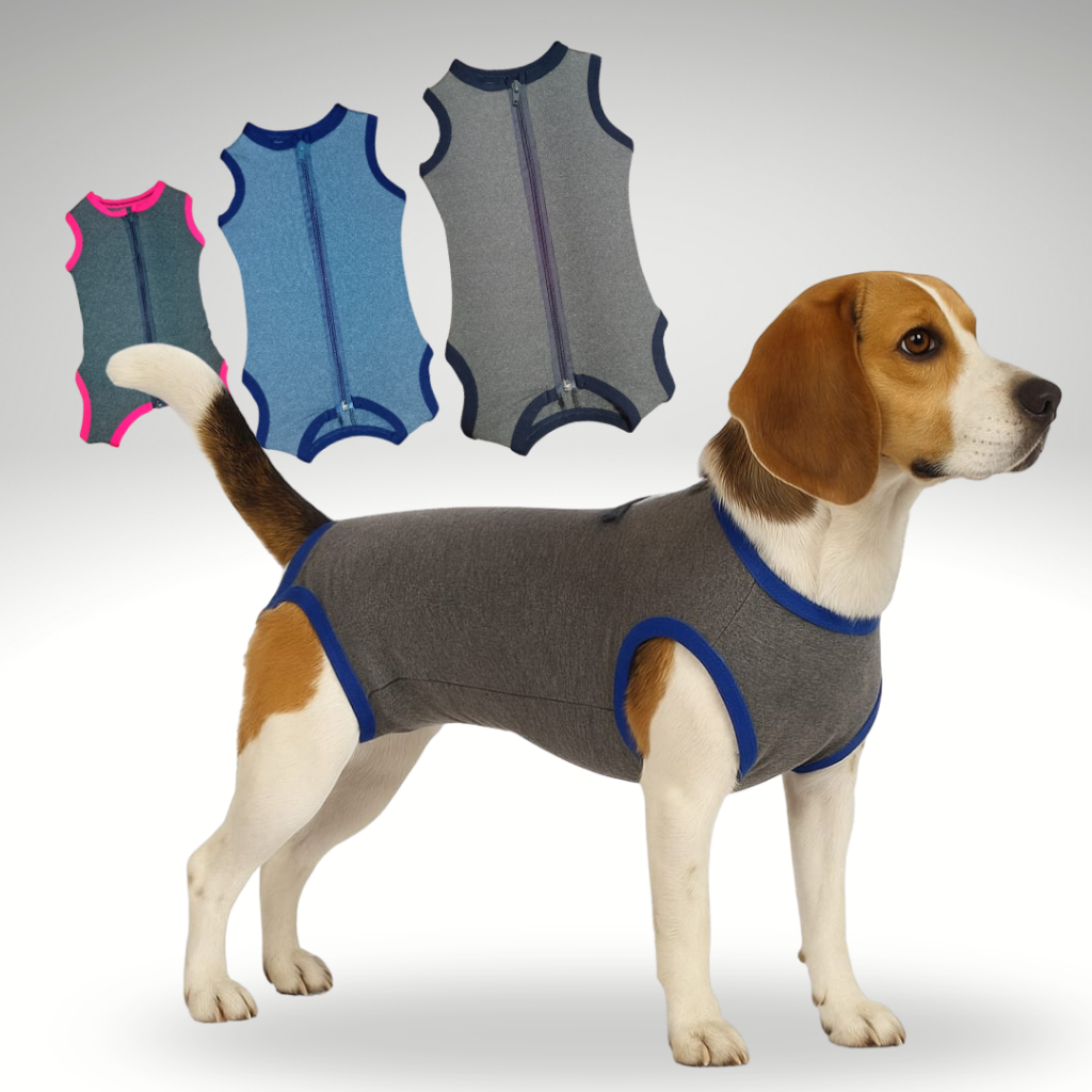 Roupa Protetora Pós Cirúrgica Para Cães Machos e Fêmeas em Oferta na Shopee