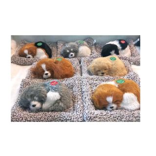Boneca Animal De Pelúcia Cachorro Brinquedo Com Som Para Crianças envia cor aleatorio
