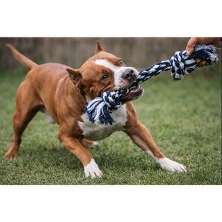 Brinquedo Pet Mordedor de Corda Dental Bone Extra Gigante para Cachorros