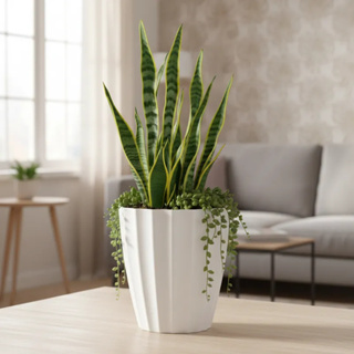 Vaso de Planta Flor Decorativo Coluna Romana PP 29x25 em Polietileno Interior e Exterior Jardim em Oferta na Shopee