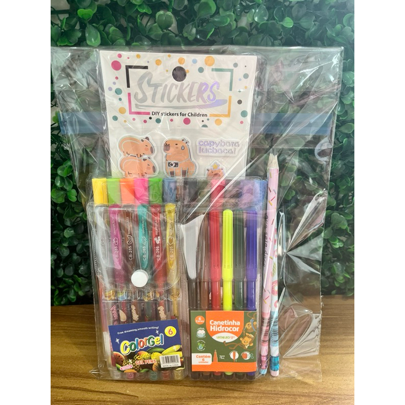 Kit Papelaria Capivara Canetas Ponta Dupla 12un + Gel Glitter + Hidrocor + Adesivos