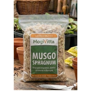 Musgo Sphagnum Substrato Substrato Drenante Suculentas Orquídeas Samanbaias Plantas em Geral em Oferta na Shopee