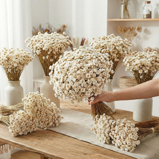 Flor Sempre Viva Seca e Desidratadas Cor Branca | 200 a 800 Flores Decoração, Arranjo e Buquê em Oferta na Shopee