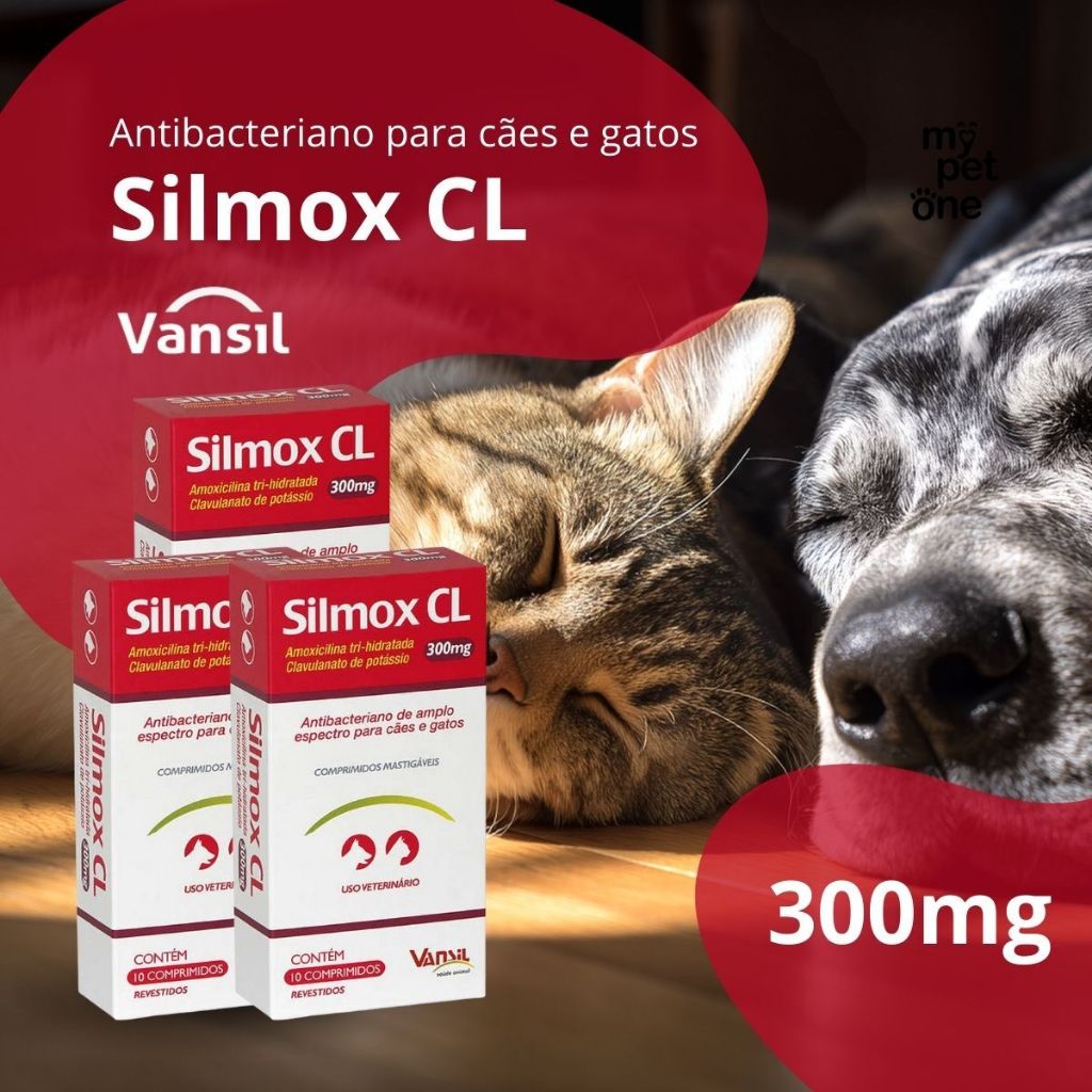 Kit 3 Antibacteriano Vansil Silmox CL para Cães e Gatos - 300 mg em Oferta na Shopee
