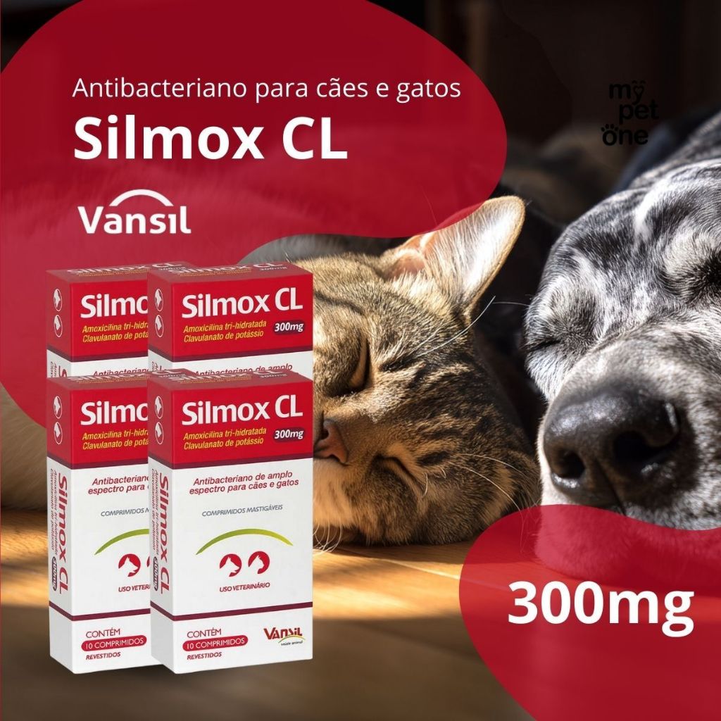 Kit 4 Antibacteriano Vansil Silmox CL para Cães e Gatos - 300 mg
