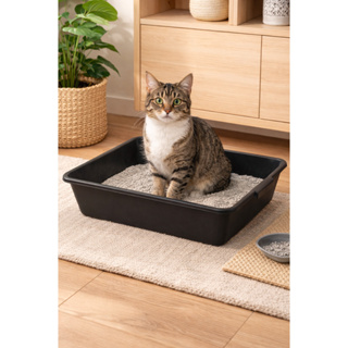 Caixa de Areia Preta para Gatos 🐾 Higiênica | Fácil Limpeza | Banheiro Sanitário em Oferta na Shopee