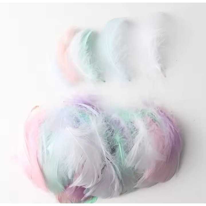 50 pçs pluma pena 10-15 cm cores paste]éis Turquia delicadíssimas