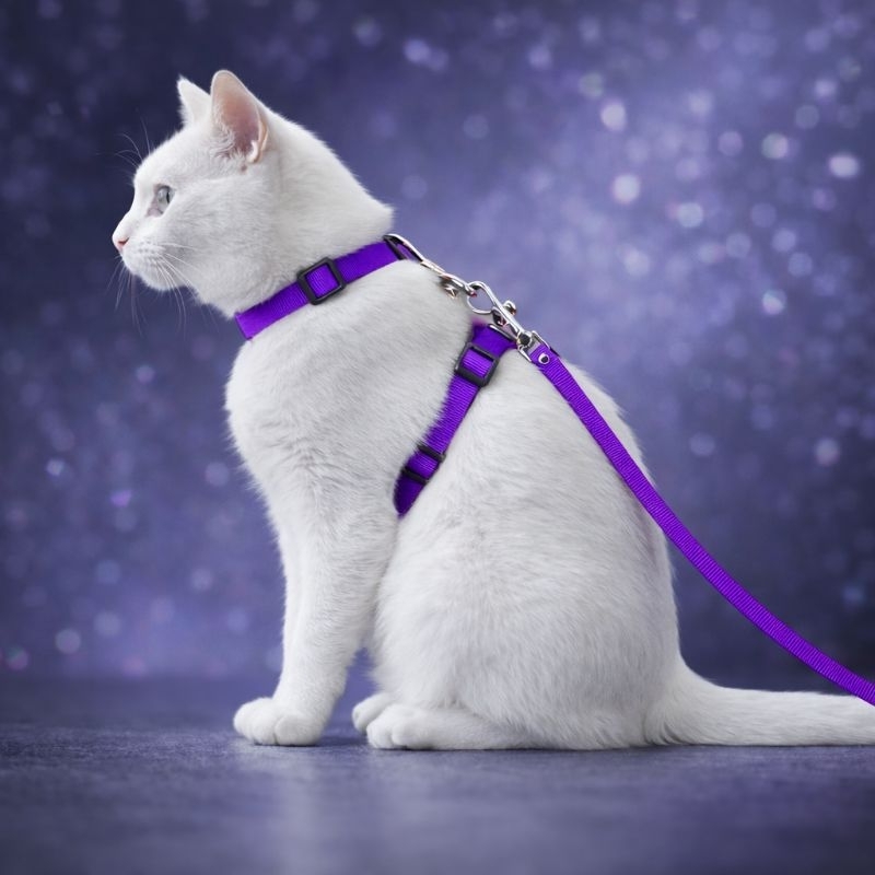Coleira Peitoral com Guia gato pet ajustável para passeio em Oferta na Shopee