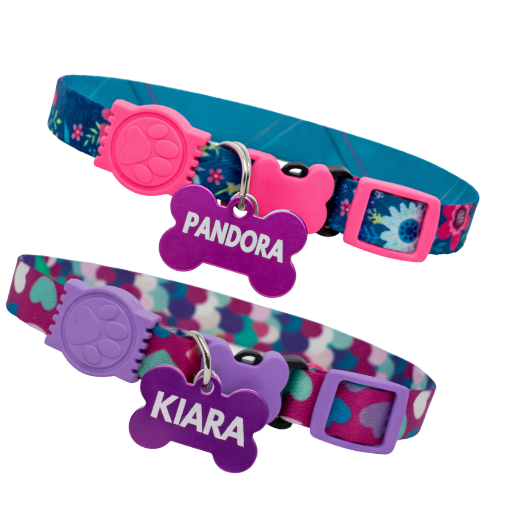 Coleira De Cachorro Personalizada Tag e plaquinha de identificação nome e telefone gravado