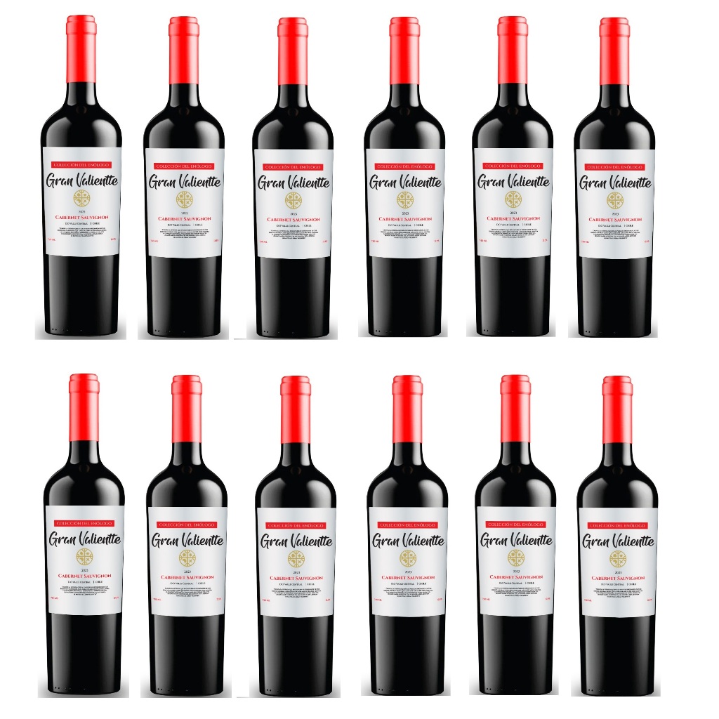 Kits Vinho Chileno Fino Seco Gran Valientte Cabernet Sauvgnion 750 ml Selecion Enologo em Oferta na Shopee