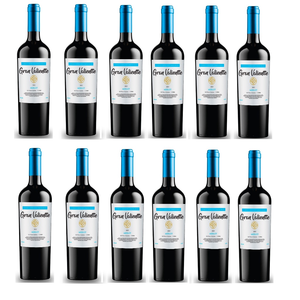 Kits Vinho Chileno Fino Seco Gran Valientte Merlot 750 ml Selecion Enologo em Oferta na Shopee