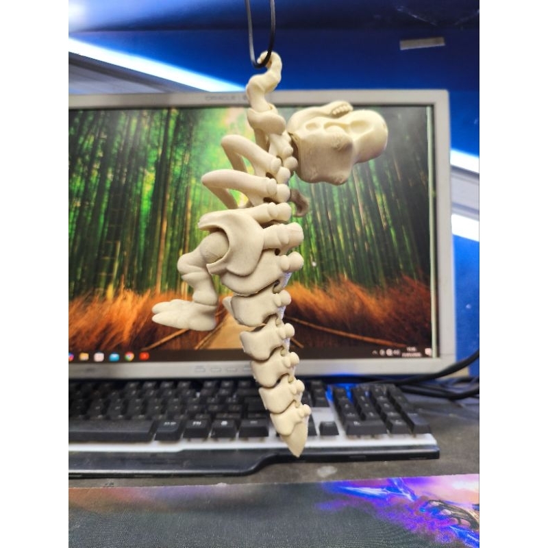 Dinossauro articulado esqueleto brinquedo criança adulto fidget sensorial hiperfoco 28cm agarra osso