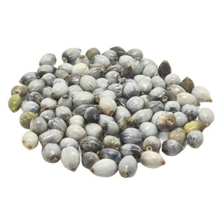 Miçanga de Sementes de Lágrimas De Nossa Senhora Contas P/ Rosário em Oferta na Shopee