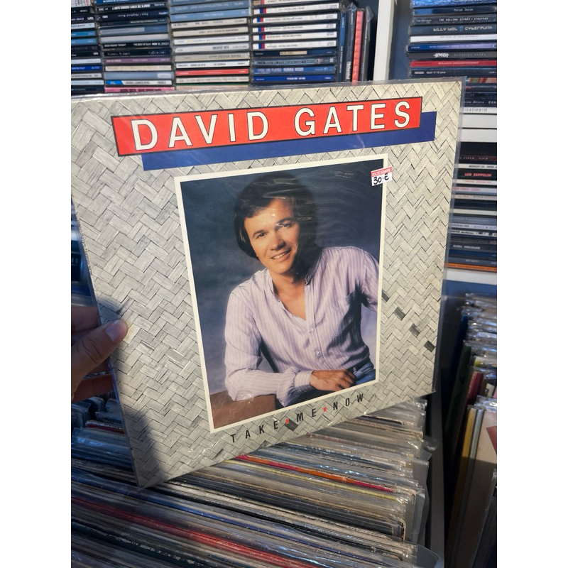 David Gates- Take me now