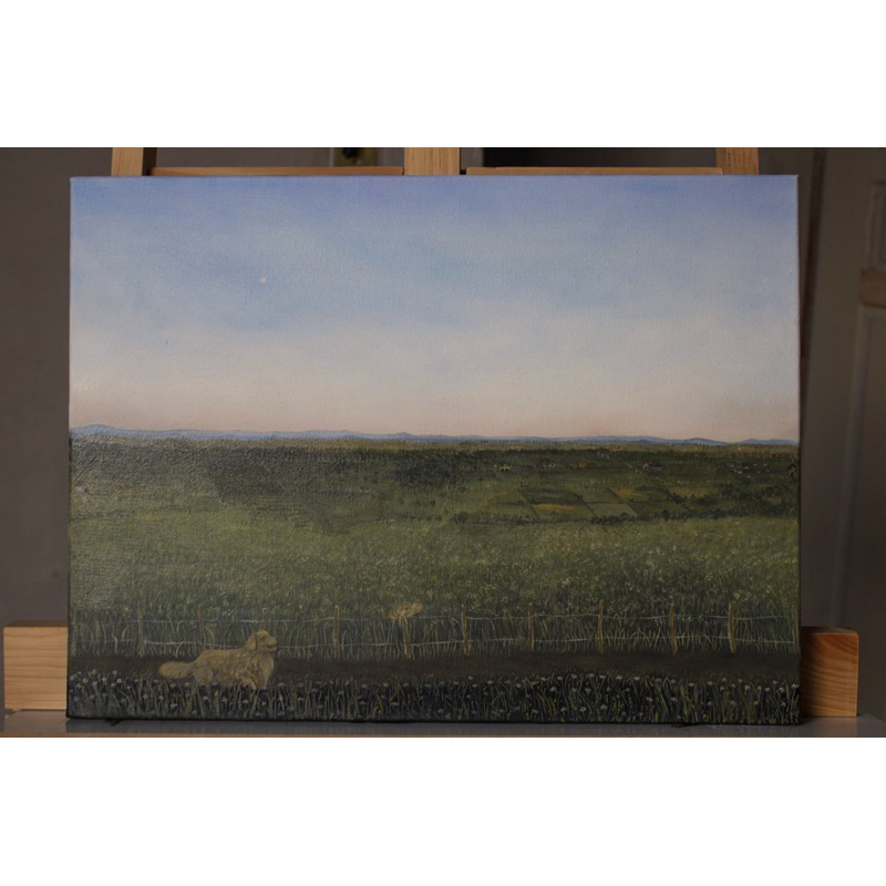 Quadro Pintura a Óleo Paisagem Fim de Tarde | Obra Autoral