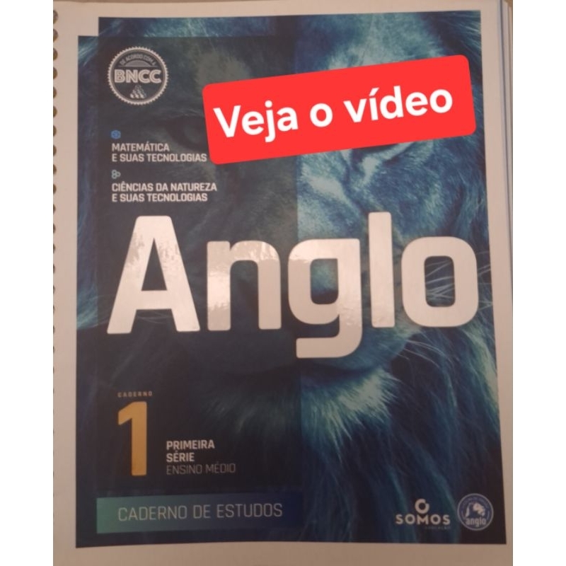 (Veja o vídeo) - Livros USADOS: Anglo| Matemática e Ciências:Caderno da Primeira Série-Ensino Médio [Caderno de Estudos]