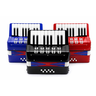Sanfona Infantil 8 Baixos 17 Teclas Grande Instrumento Musical Criança Semipro Acordeon Gaita