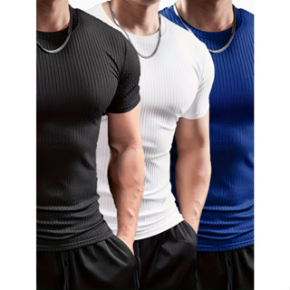 Camisa Camiseta 100% Canelada Masculina Inpulse em Oferta na Shopee