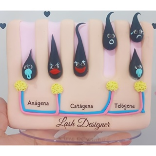 Maquete Didática feito em Biscuit  Ciclo dos pêlos/Tricologia /Lash Designer /Depilação/sobrancelhas/Terapeuta Capilar em Oferta na Shopee