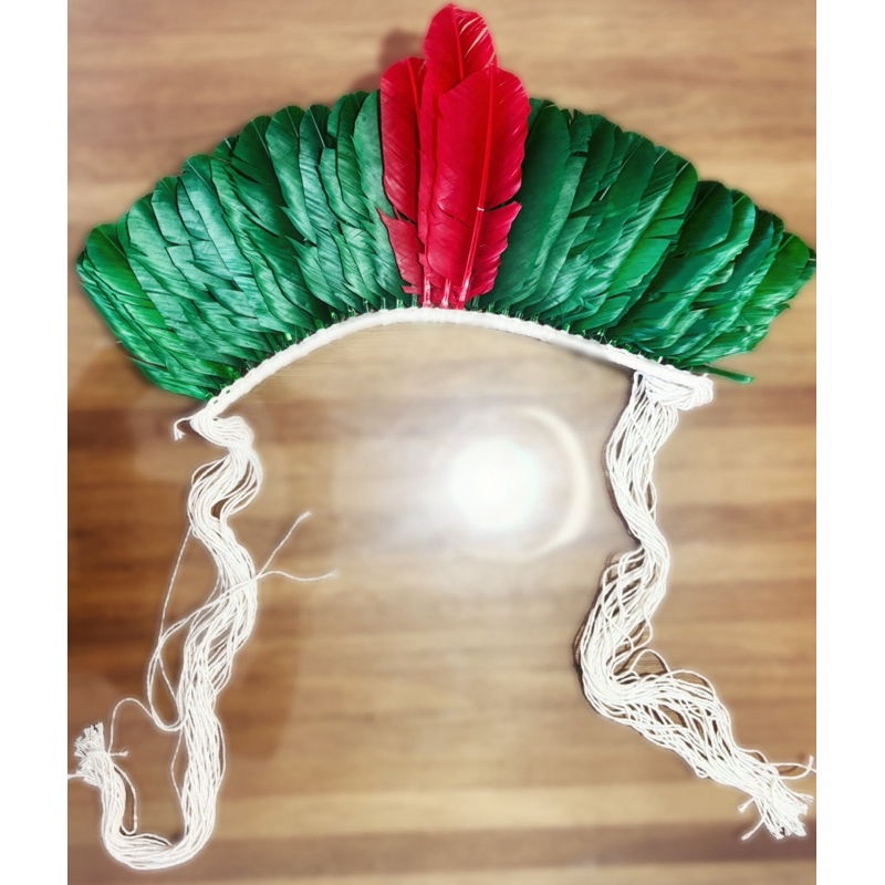 Cocar/penacho indígena penas originais. Na compra do produto adquira também os aparatos de braço e tornozelo.