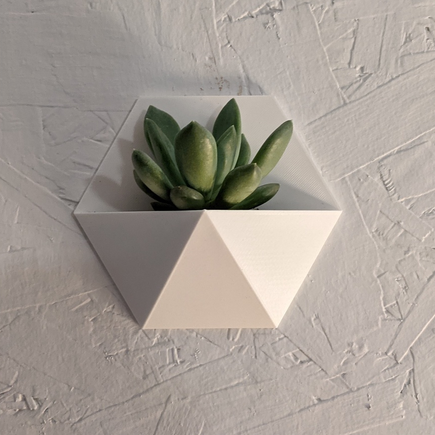 Vaso de Parede Decorativo para Suculenta em Oferta na Shopee