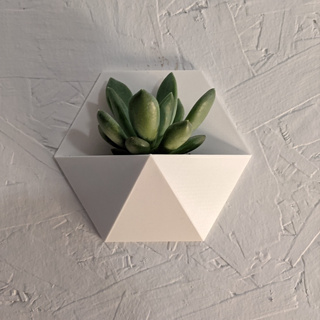 Vaso de Parede Decorativo para Suculenta em Oferta na Shopee