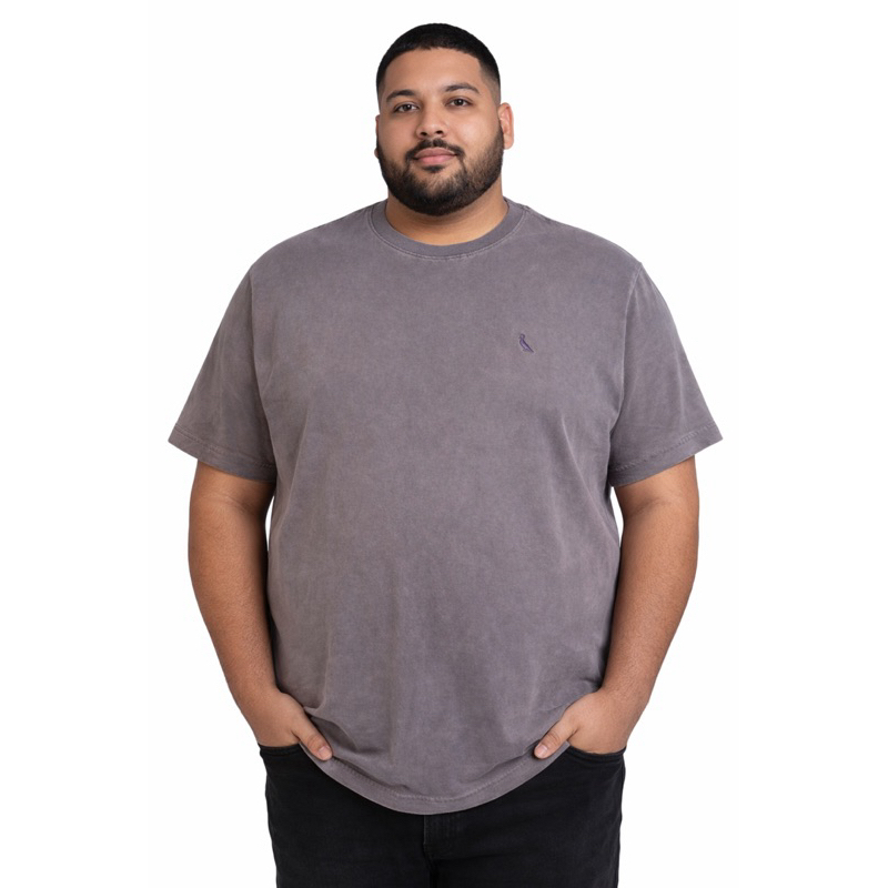Camisa T-shirt PLUS SIZE Estonada Masculina RSV em Oferta na Shopee