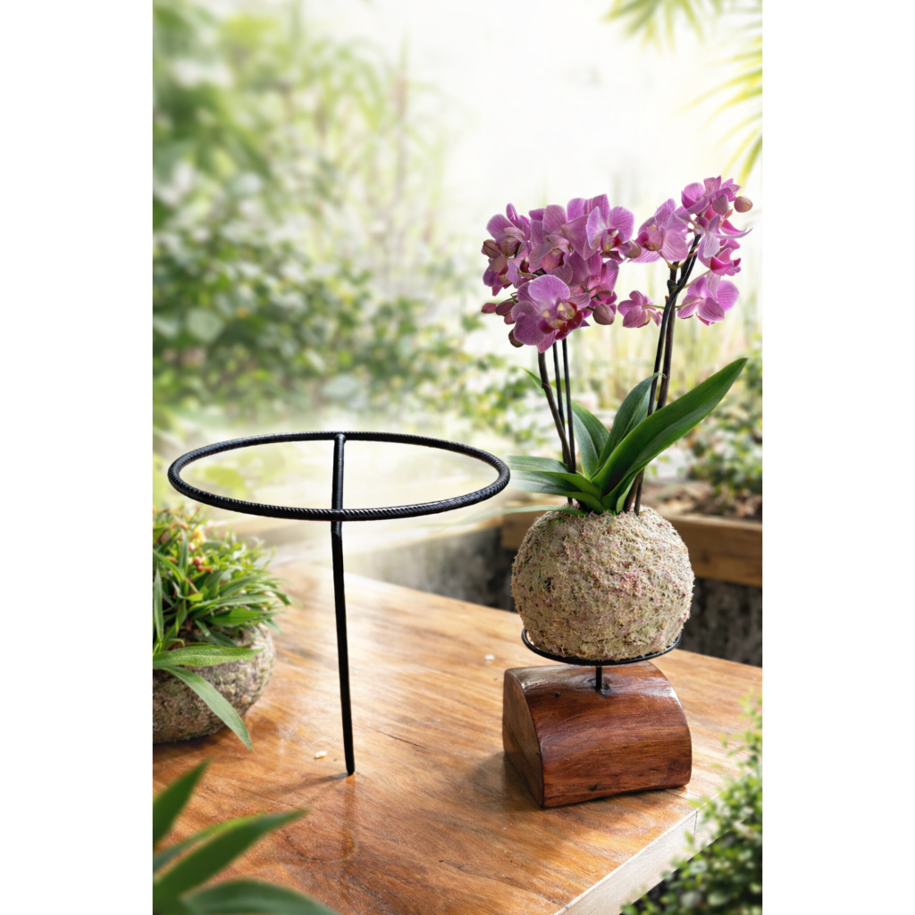 kit com10 e  20 peças de ARGOLA para suporte de  kokedamas (não acompanha a madeira). em Oferta na Shopee