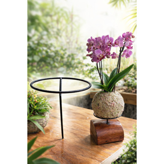 kit com10 e  20 peças de ARGOLA para suporte de  kokedamas (não acompanha a madeira). em Oferta na Shopee