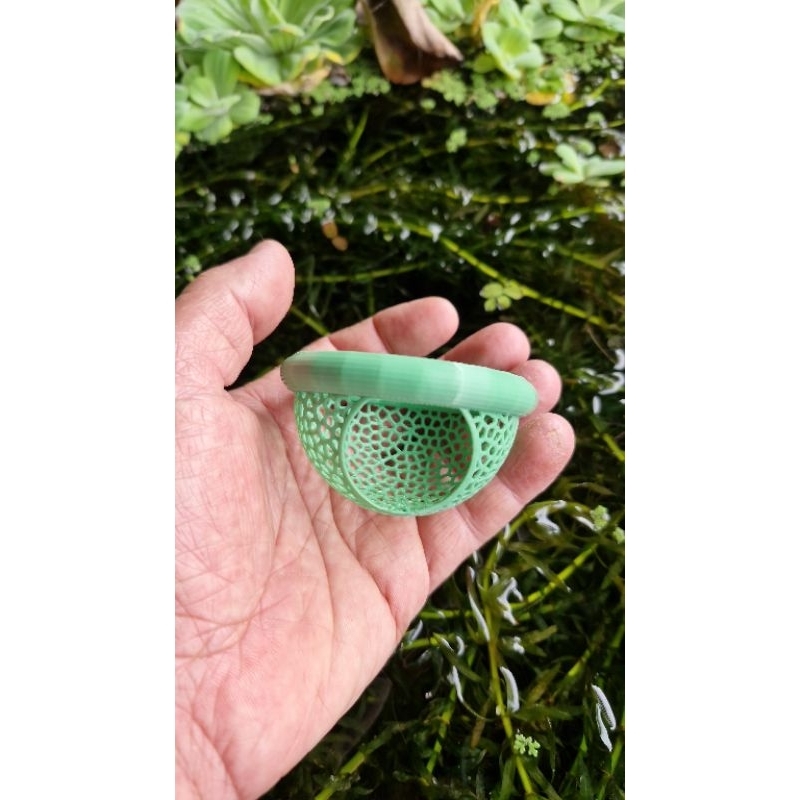 Esconderijo flutuante para peixes beta em Oferta na Shopee