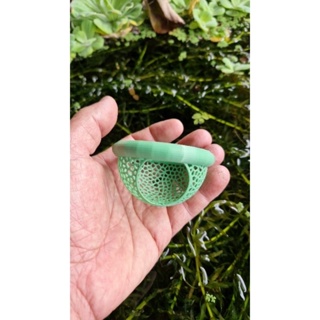 Esconderijo flutuante para peixes beta em Oferta na Shopee