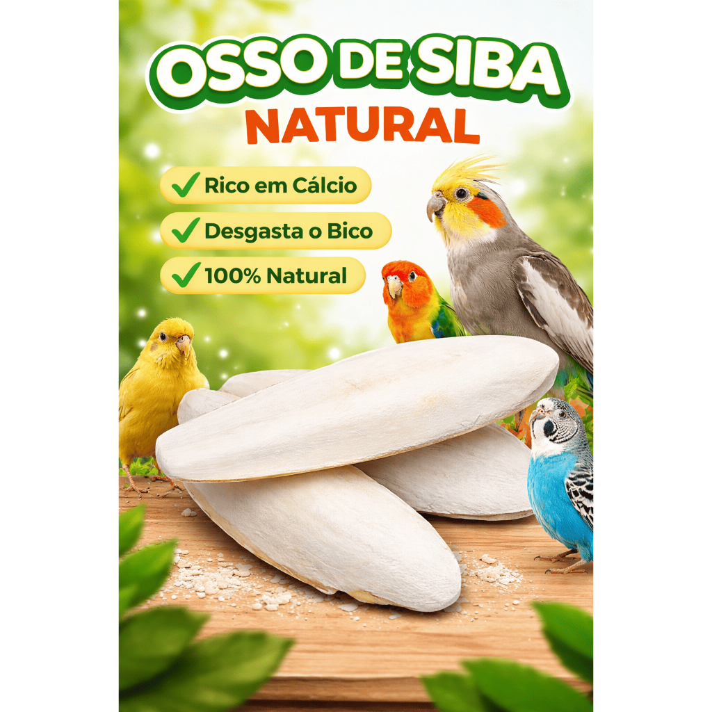 3 Unidades Osso de Siba Afiador de Bico Tamanhos Variados em Oferta na Shopee