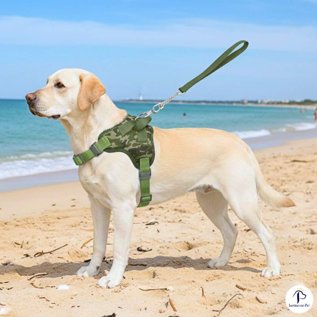 Coleira para cachorros grandes com guia de passeio amortecedor peitoral pet ajustável