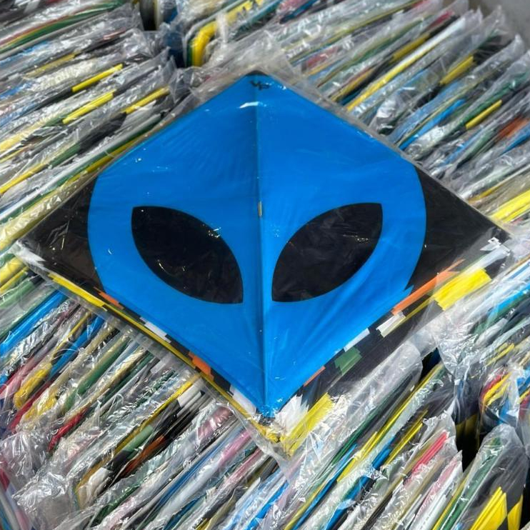 raia veloster pequeno central 48cm enverga 66cm 25 unidades em Oferta na Shopee