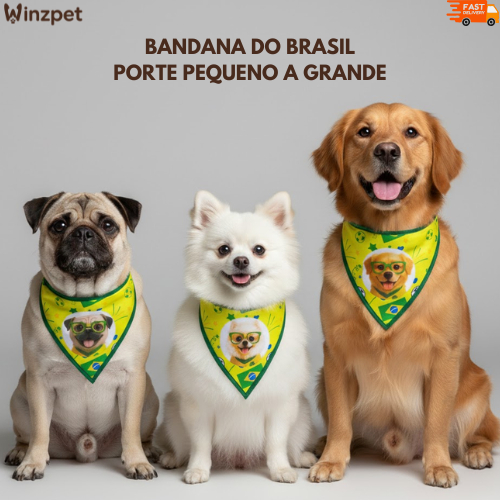 Bandana Pet Brasil Porte Pequeno a Grande Tamanho P,M,G e GG - Banho e Tosa