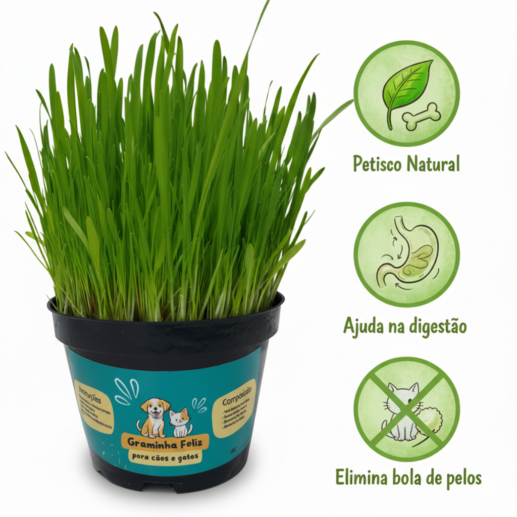 Capim para Gatos e Cães Graminha  - Petisco Elimina Bolas de Pelos e Ajuda na digestão em Oferta na Shopee