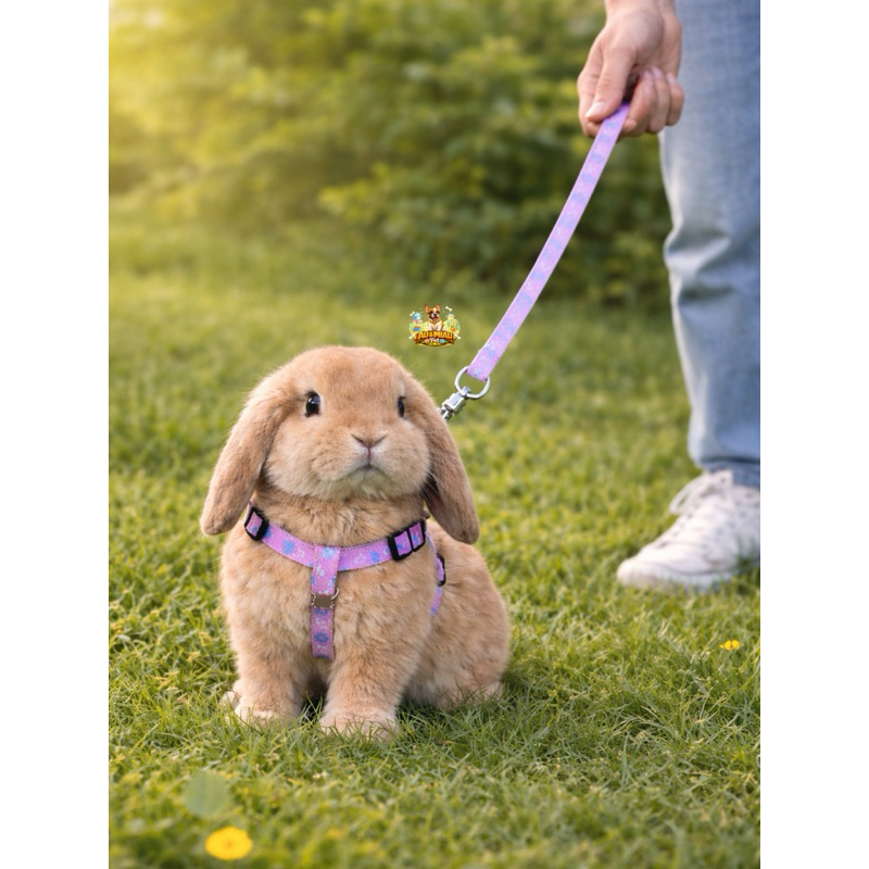 Coleira Guia com Peitoral Ajustável e Estampado Para Coelhos e Chinchilas 🐰🐭