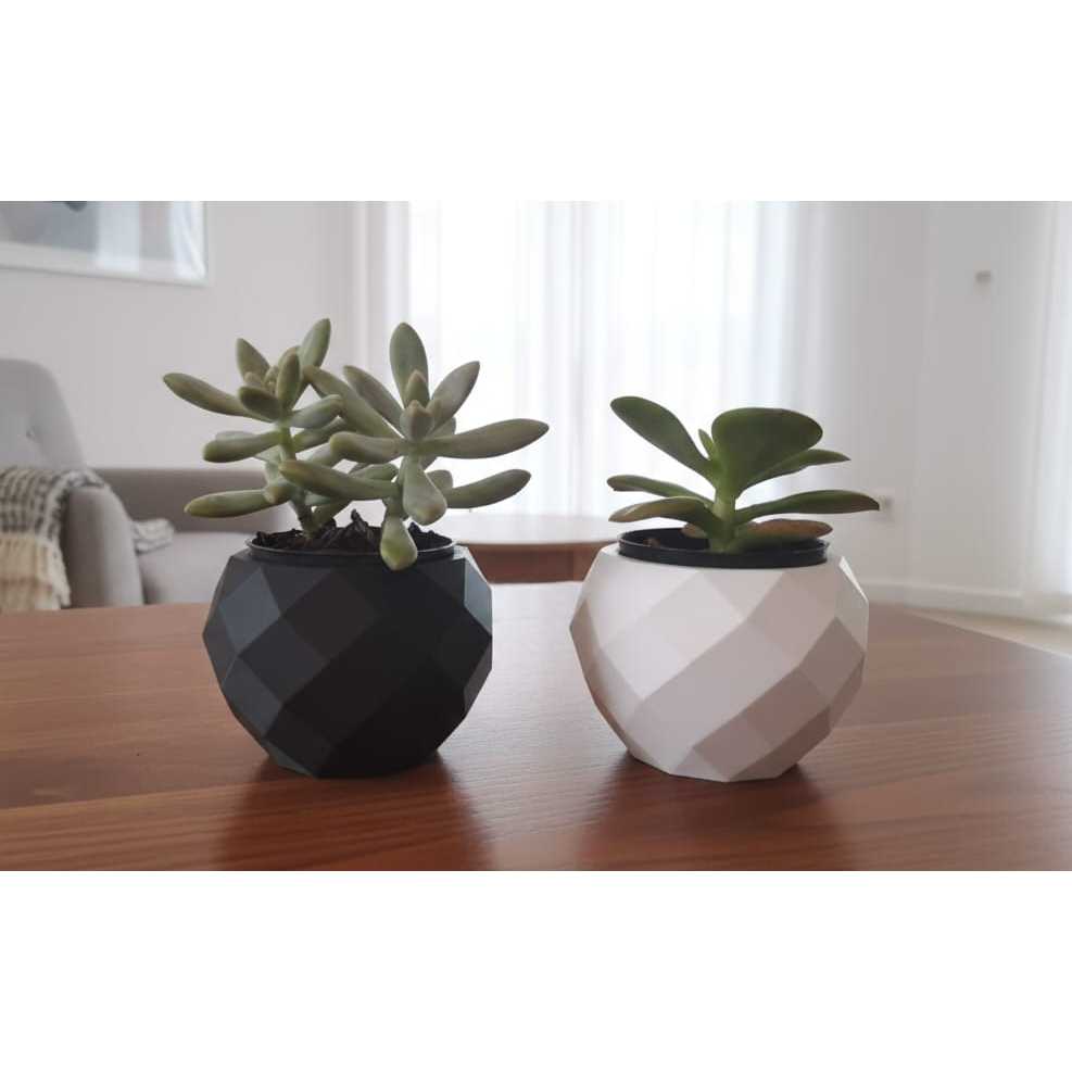 Kit 2 Vasos Decorativos Low Poly Geometrico para Suculentas e Cactos Minimalista Moderno