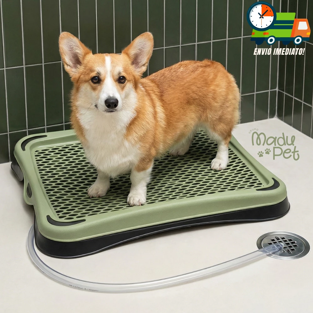Banheiro Sanitário Com Dreno e Mangueira Lavável Para Cães Tapete Higiênico Envio Imediato