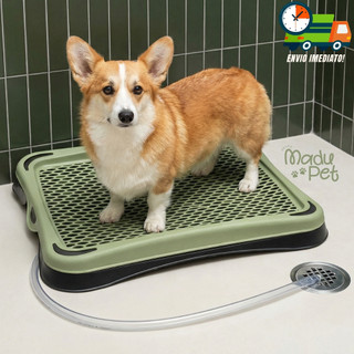 Banheiro Sanitário Com Dreno e Mangueira Lavável Para Cães Tapete Higiênico Envio Imediato