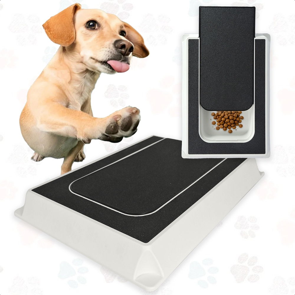 Sem Alicate Caixa Lixa de Unha para Cachorros Aparador Unhas Interativo Pet - Lixa Natural Unhas em Oferta na Shopee