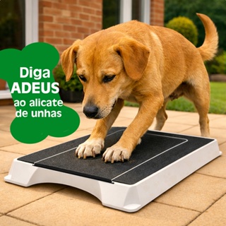 PetyCure Arranhador de Unha para Cachorro Caixa Lixa Petiscos Esconderijo Brinquedo Interativo em Oferta na Shopee