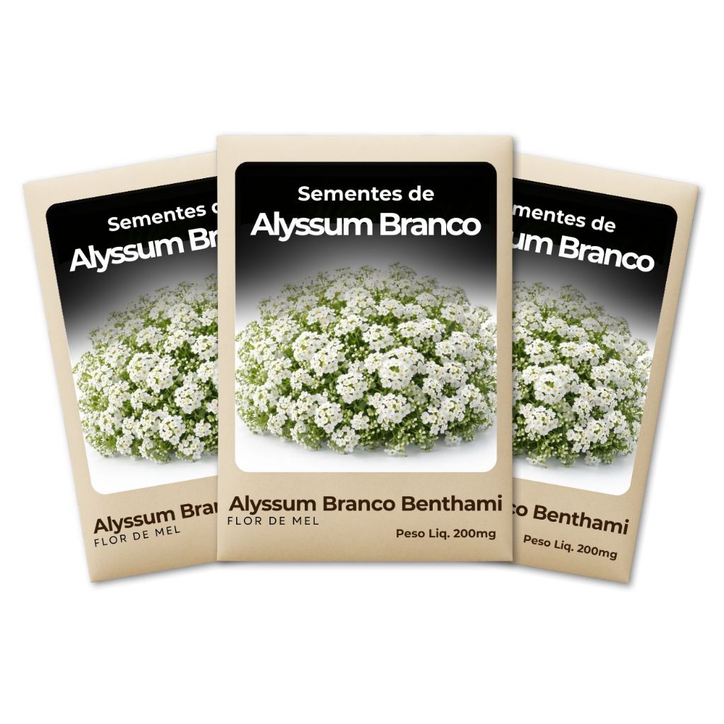 Sementes Alyssum Branco Benthami Flor de Mel Para Vasos E Floreiras Kit Com 3 Unidades