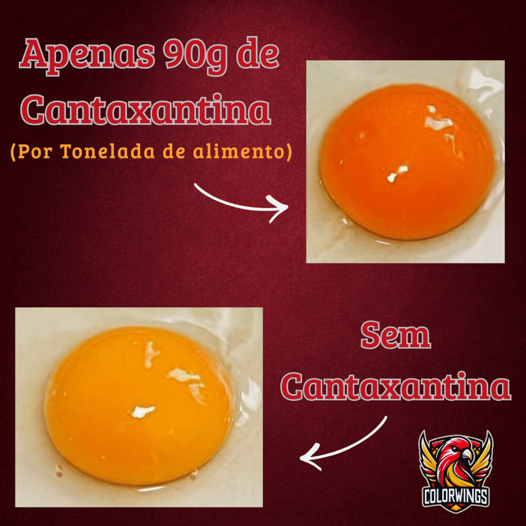 Cantaxantina Vermelha para Canários 20g