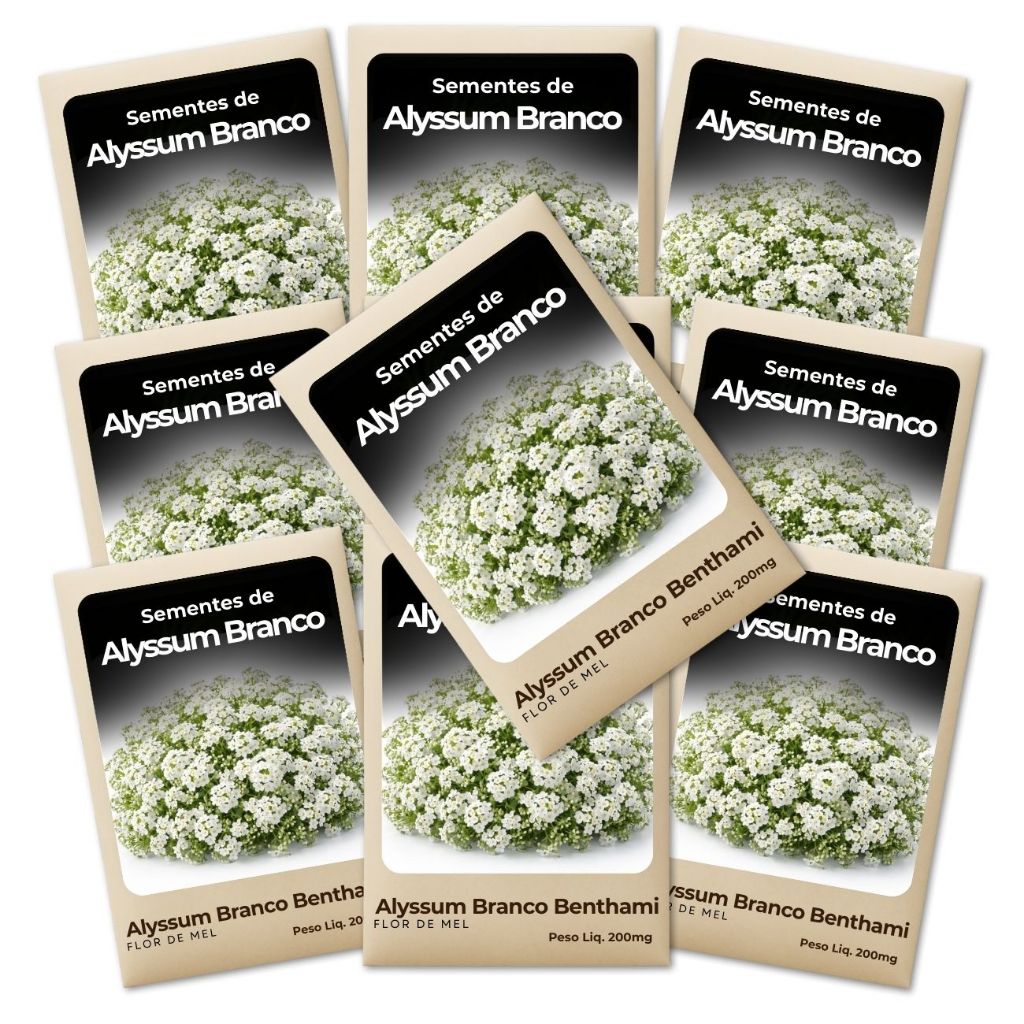 Sementes Alyssum Branco Flor de Mel Ideal Para Tapete Floral E Canteiros Kit Com 10 Unidades