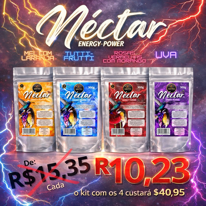 NÉCTAR ENERGY POWER - DIVERSOS SABORES